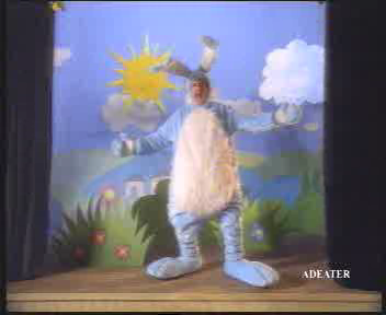 le lapin ! 